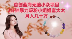 首创蓝海无脑小众项目，2分钟暴力吸粉小姐姐富太太，月入几十万【揭秘】-瀚海资源库