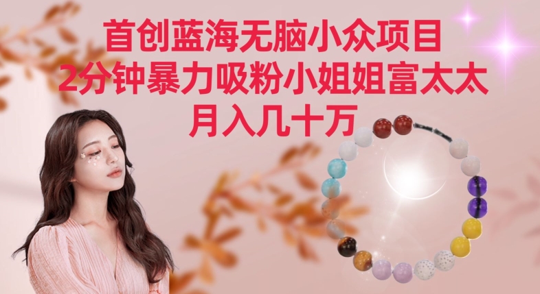 首创蓝海无脑小众项目，2分钟暴力吸粉小姐姐富太太，月入几十万【揭秘】-瀚海资源库