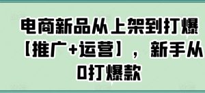 电商新品从上架到打爆【推广+运营】,新手从0打爆款-瀚海资源库