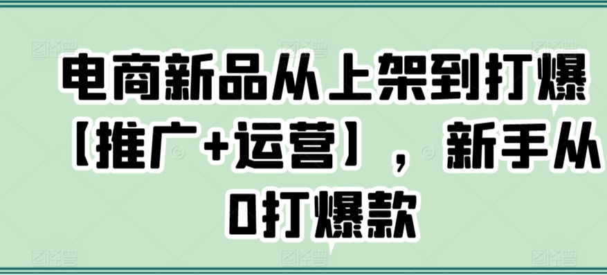 电商新品从上架到打爆【推广+运营】，新手从0打爆款-瀚海资源库