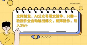 全网首发，AI公众号爆文插件，只需一款插件全自动输出爆文，矩阵操作，月入3W+【揭秘】-瀚海资源库