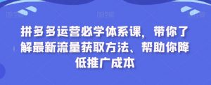 拼多多运营必学体系课,带你了解最新流量获取方法、帮助你降低推广成本-瀚海资源库