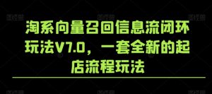 淘系向量召回信息流闭环玩法V7.0，一套全新的起店流程玩法-瀚海资源库