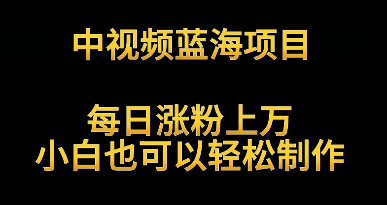 中视频蓝海项目，解读英雄人物生平，每日涨粉上万，小白也可以轻松制作，月入过万不是梦【揭秘】-瀚海资源库