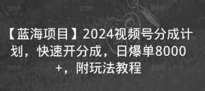 【蓝海项目】2024视频号分成计划,快速开分成,日爆单8000+,附玩法教程-瀚海资源库