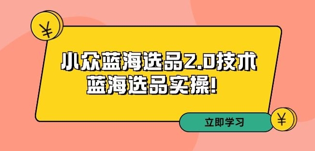 拼多多培训第33期：小众蓝海选品2.0技术-蓝海选品实操！-瀚海资源库