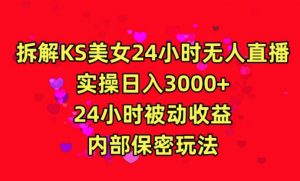利用快手24小时无人美女直播，实操日入3000，24小时被动收益，内部保密玩法【揭秘】-瀚海资源库