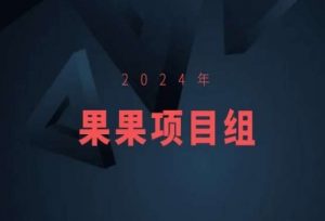 2024年果果项目组项目合集-果果最新项目-瀚海资源库