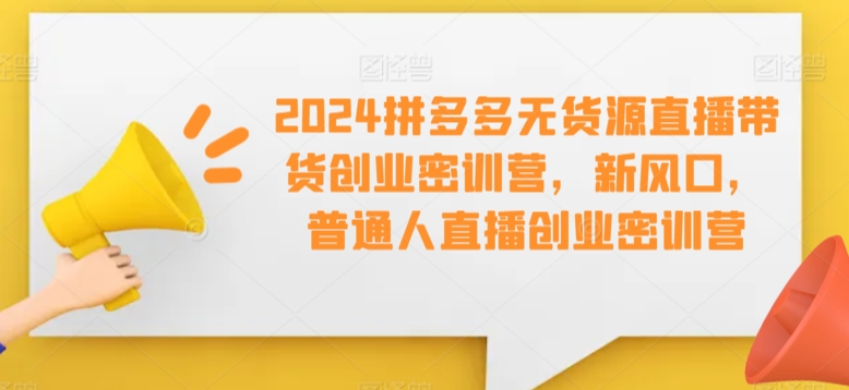 2024拼多多无货源直播带货创业密训营，新风口，普通人直播创业密训营-瀚海资源库