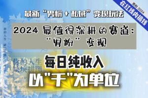 【私域流量最值钱】把“男粉”流量打到手,你便有无数种方法可以轻松变现,每日纯收入以“千”为单位-瀚海资源库