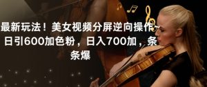 最新玩法！美女视频分屏逆向操作~日引600加色粉，日入700加，条条爆【揭秘】-瀚海资源库