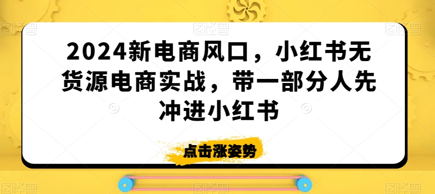 2024新电商风口，小红书无货源电商实战，带一部分人先冲进小红书-瀚海资源库