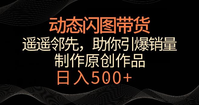 动态闪图带货，遥遥领先，冷门玩法，助你轻松引爆销量，日赚500+【揭秘】-瀚海资源库