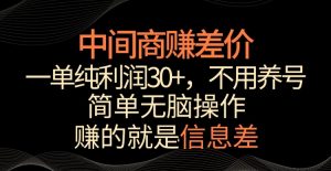 中间商赚差价，一单纯利润30+，简单无脑操作，赚的就是信息差，轻轻松松日入1000+【揭秘】-瀚海资源库