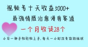 十天收益5000+，多平台捞金，视频号情感治愈漫剪，一个月收徒28个，小白一部手机轻松上手【揭秘】-瀚海资源库