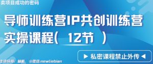 导师训练营3.0IP共创训练营私密实操课程(12节)-卖项目的密码成功秘诀【揭秘】-瀚海资源库