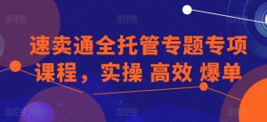 速卖通全托管专题专项课程,实操 高效 爆单-瀚海资源库