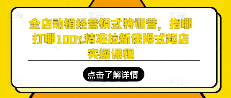 全店动销经营模式特训营，指哪打哪100%精准拉新保姆式起店实操课程-瀚海资源库