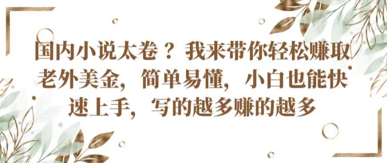 国内小说太卷 ?带你轻松赚取老外美金，简单易懂，小白也能快速上手，写的越多赚的越多【揭秘】-瀚海资源库