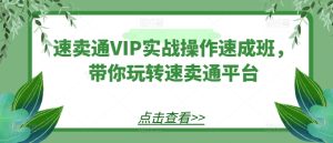 速卖通VIP实战操作速成班,带你玩转速卖通平台-瀚海资源库