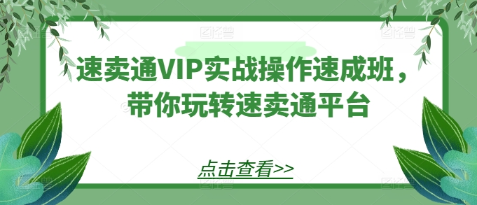 速卖通VIP实战操作速成班，带你玩转速卖通平台-瀚海资源库