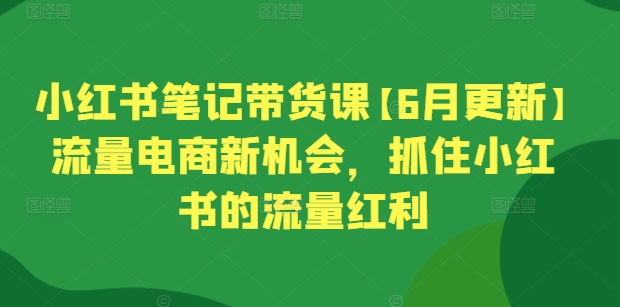 小红书笔记带货课【6月更新】流量电商新机会，抓住小红书的流量红利-瀚海资源库