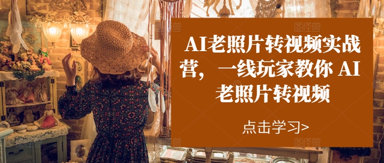 AI老照片转视频实战营，一线玩家教你AI老照片转视频-瀚海资源库