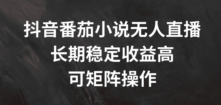 抖音番茄小说无人直播，长期稳定收益高，可矩阵操作【揭秘】-瀚海资源库