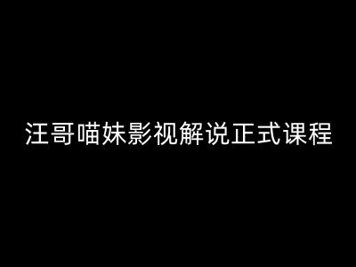 汪哥影视解说正式课程：剪映/PR教学/视解说剪辑5大黄金法则/全流程剪辑7把利器等等-瀚海资源库