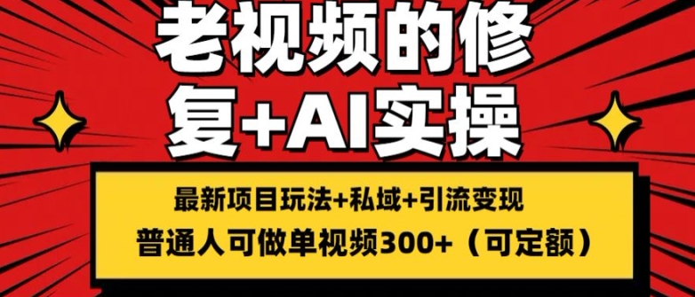 修复老视频的玩法，搬砖+引流的变现(可持久)，单条收益300+【揭秘】-瀚海资源库