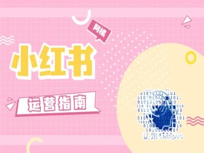 小红书运营指南，没有套路，全是经验-瀚海资源库