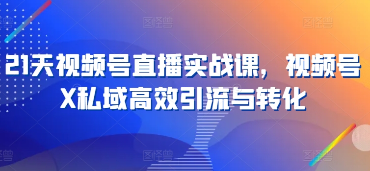 21天视频号直播实战课，视频号X私域高效引流与转化-瀚海资源库