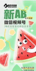 梅花实验室2024年AB技术视频号AB合成破解版-瀚海资源库