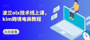 波兰olx技术线上课，kim跨境电商教程-瀚海资源库