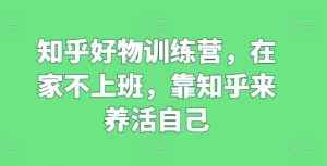 知乎好物训练营,在家不上班,靠知乎来养活自己-瀚海资源库