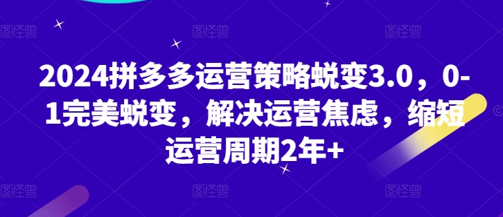 2024拼多多运营策略蜕变3.0，0-1完美蜕变，解决运营焦虑，缩短运营周期2年+-瀚海资源库