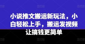 小说推文搬运新玩法，小白轻松上手，搬运发视频让搞钱更简单-瀚海资源库