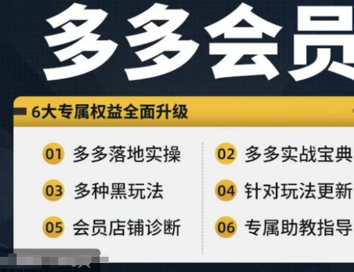 拼多多会员，拼多多实战宝典+实战落地实操，从新手到高阶内容全面覆盖-瀚海资源库
