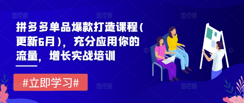 拼多多单品爆款打造课程(更新6月)，充分应用你的流量，增长实战培训-瀚海资源库