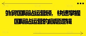 外贸国际站运营顾问,快速掌握国际站运营的底层逻辑-瀚海资源库