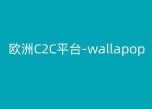 欧洲C2C平台-wallapop-kim跨境电商教程-瀚海资源库