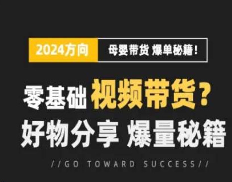 短视频母婴赛道实操流量训练营，零基础视频带货，好物分享，爆量秘籍-瀚海资源库