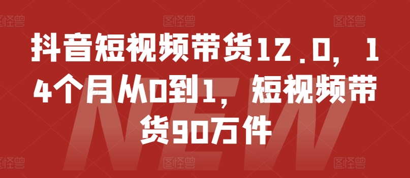 抖音短视频带货12.0，14个月从0到1，短视频带货90万件-瀚海资源库