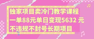 独家项目卖冷门教学课程一单88元单日变现5632元违规不封号长期项目【揭秘】-瀚海资源库