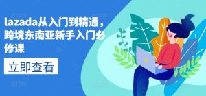lazada从入门到精通，跨境东南亚新手入门必修课-瀚海资源库