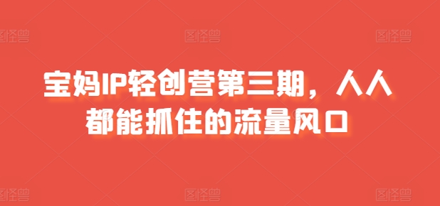 宝妈IP轻创营第三期，人人都能抓住的流量风口-瀚海资源库