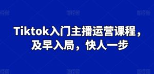 Tiktok入门主播运营课程，及早入局，快人一步-瀚海资源库
