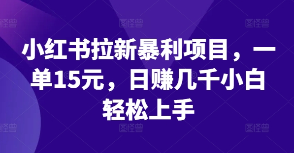 小红书拉新暴利项目，一单15元，日赚几千小白轻松上手【揭秘】-瀚海资源库
