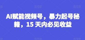 AI赋能视频号，暴力起号秘籍，15 天内必见收益【揭秘】-瀚海资源库