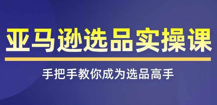 亚马逊选品实操课程，快速掌握亚马逊选品的技巧，覆盖亚马逊选品所有渠道-瀚海资源库